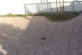LAMM_Kunststeinbelaege_02.JPG