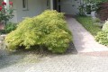 LAMM_Pflanz_Pflegearbeiten_01.JPG