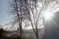 aber hier wird im Sommer gebaut.jpg