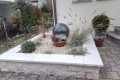 IMG_20201204_160521_4.jpg