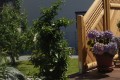 Gartengestaltung_05.jpg